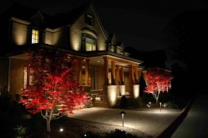 Outdoor Solar Lights