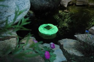 solar pool light
