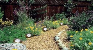 Solar Rock Lights